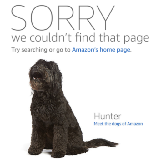 Amazon 404 page